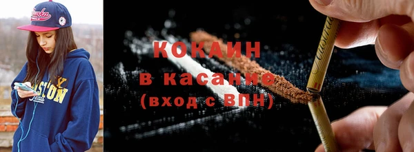индика Новокубанск
