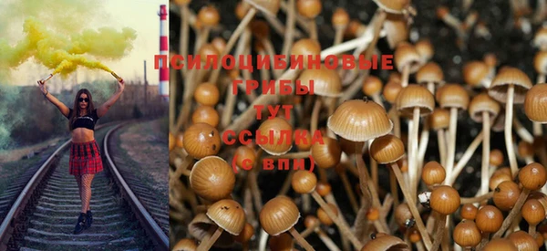 меф Заволжск