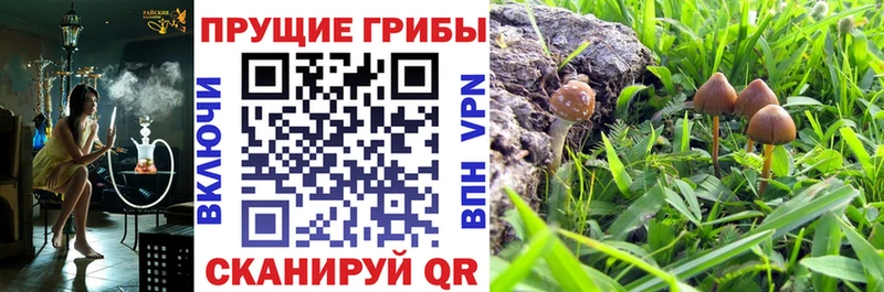 Псилоцибиновые грибы GOLDEN TEACHER  Сольвычегодск 